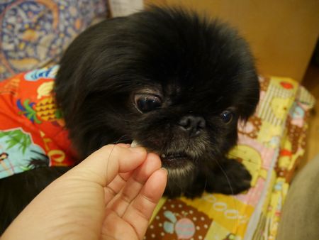 だいこん4.jpg
