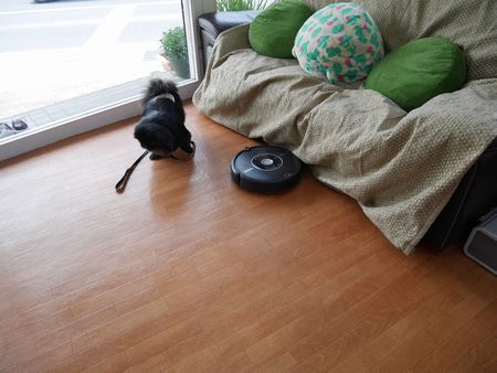 はるとら4.jpg