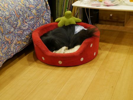 はるとら7.jpg