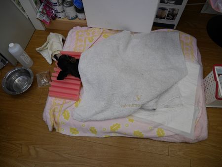 うぃず1.jpg