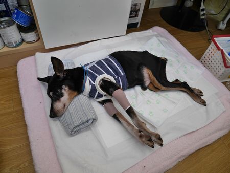 うぃず17.jpg