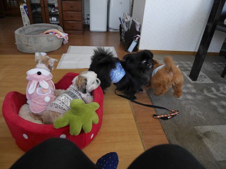 らい1.jpg