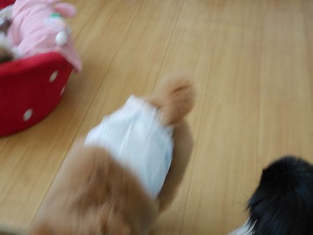 らい5.jpg