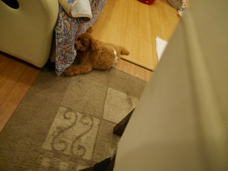 おもちゃ1.jpg