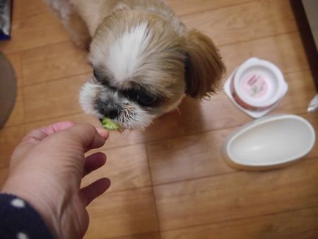 きゅうり3.jpg
