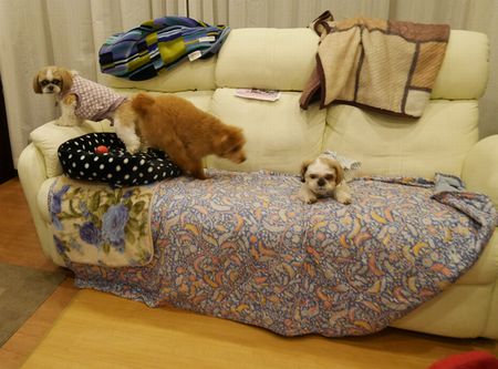 はしる2.jpg