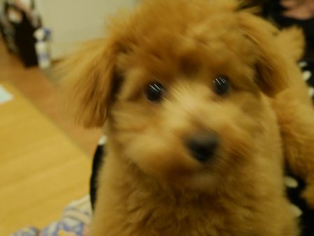 はしる4.jpg