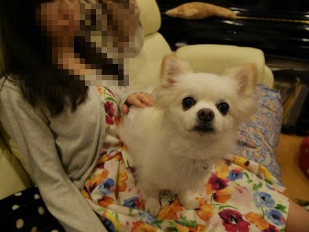 しろっぷ1.jpg