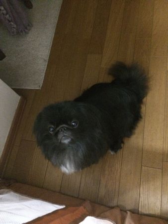 正式はる3.jpg