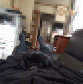正式はる5.jpg
