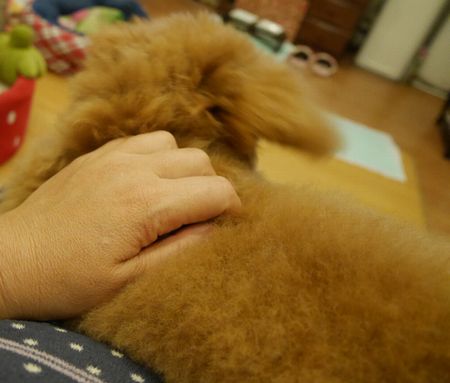 あそぼ8.jpg