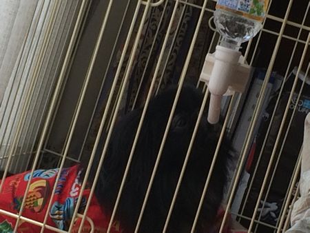 ぽっちり2.jpg