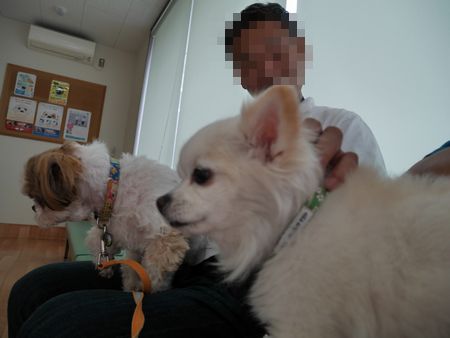 しし4.jpg