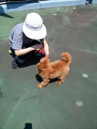 らいとら5.jpg