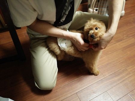 らいとら2.jpg