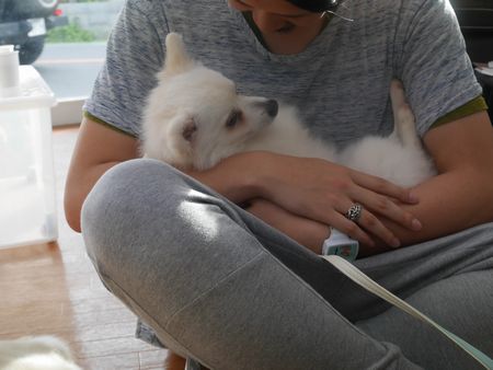 ちゃん見合い7.jpg
