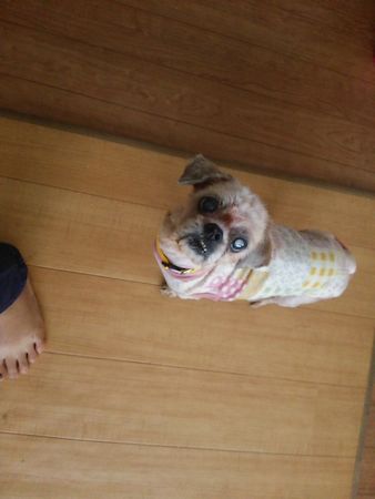 ねいさん6.jpg