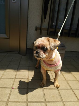 ねいさん7.jpg