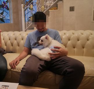 ちゃんとら4.jpg