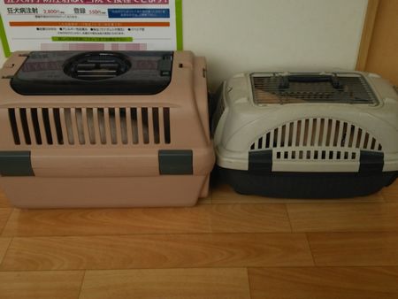 あにふぁ1.jpg