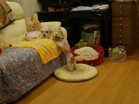 ばう9.jpg