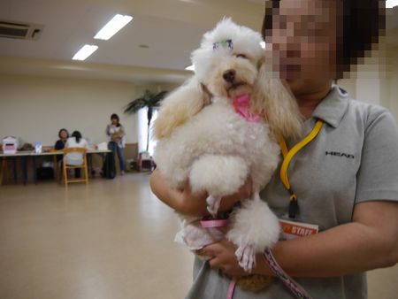 里親会4.jpg