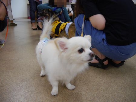里親会9.jpg