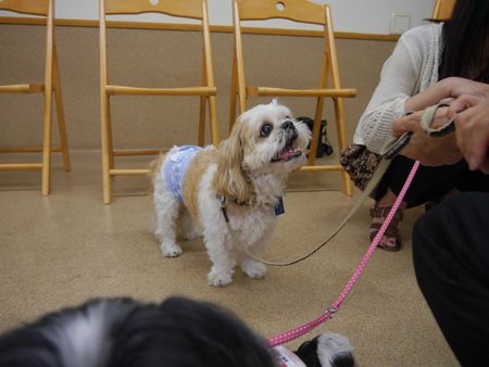 里親会26.jpg