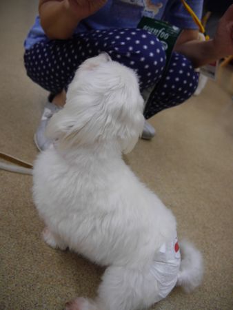 里親会40.jpg