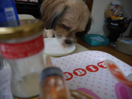 あいす1.jpg