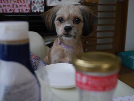 あいす4.jpg