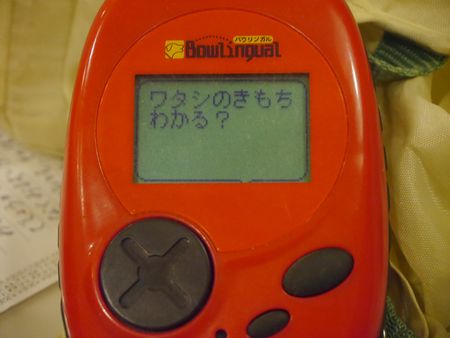 ばう2.jpg