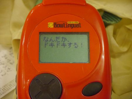 バウ4.jpg