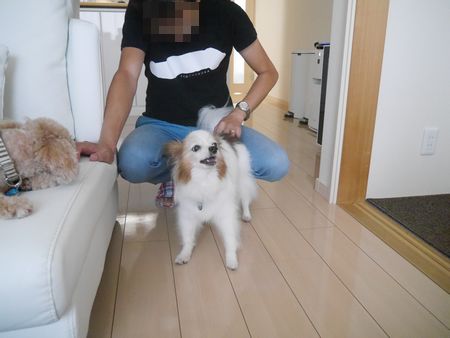 ひき31.jpg