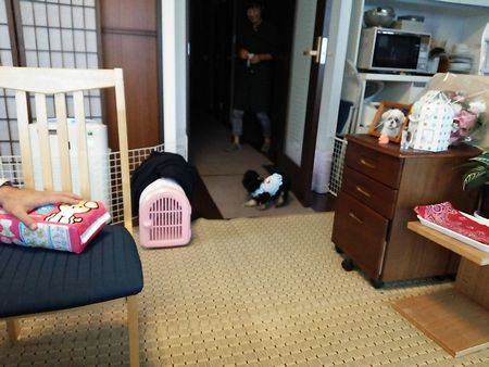 まつもと5.jpg