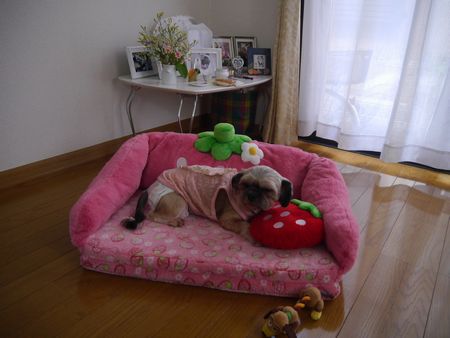 はにー1.jpg
