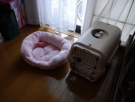 はにー6.jpg