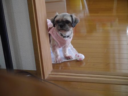 はにーや.jpg