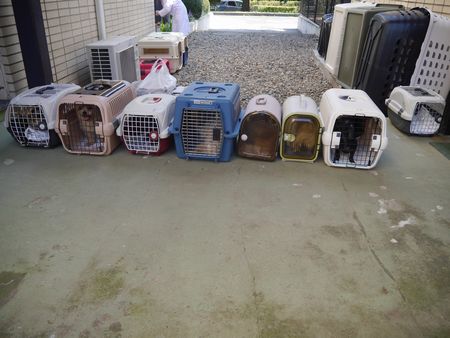 ひきとり12.jpg