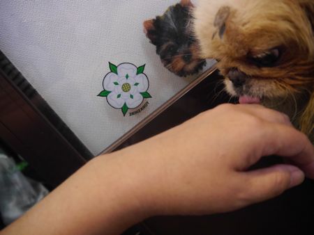 ひきとり18.jpg