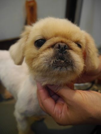 ひきとり38.jpg