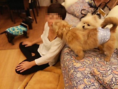 いくら2.jpg