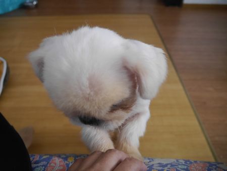 たらたら4.jpg