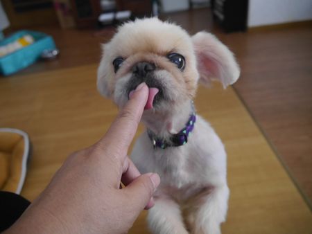 たらたら5.jpg