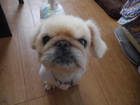 たらたら9.jpg