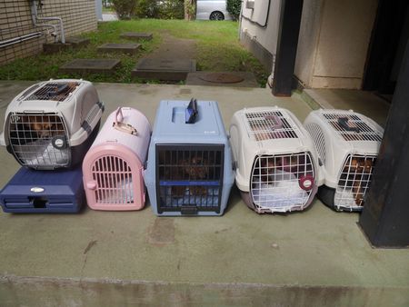 ひきとり7.jpg