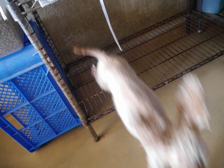 ひきとり16.jpg