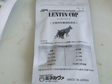 れんちん.jpg