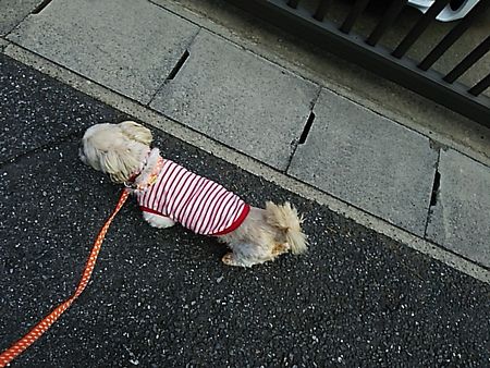 しずさん.jpg