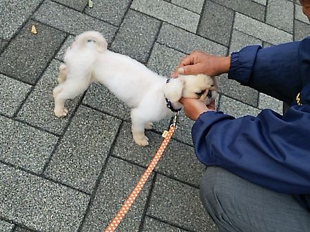 たらとら3.jpg
